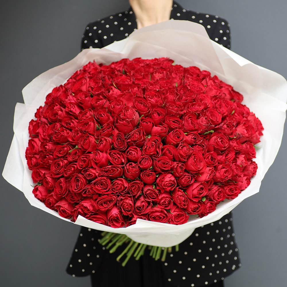 201 Red Ecuador Roses